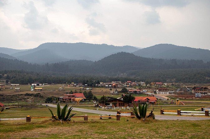 Mexico City Hike: Conquer the Ajusco National Park - Practical Tips