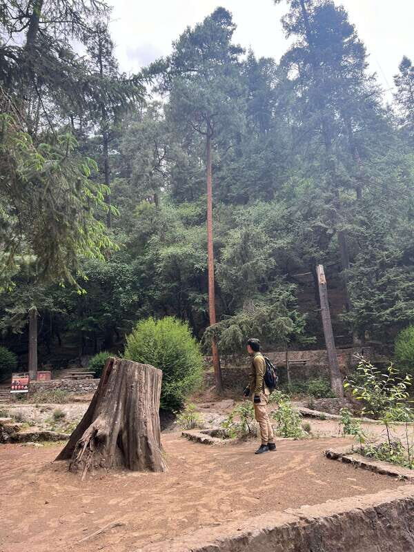 Mexico city: Hiking tour to Desierto de los leones - Detailed Breakdown of the Itinerary