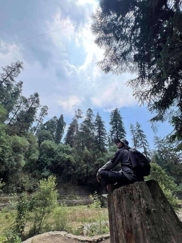 Mexico city: Hiking tour to Desierto de los leones - Transportation and Group Size