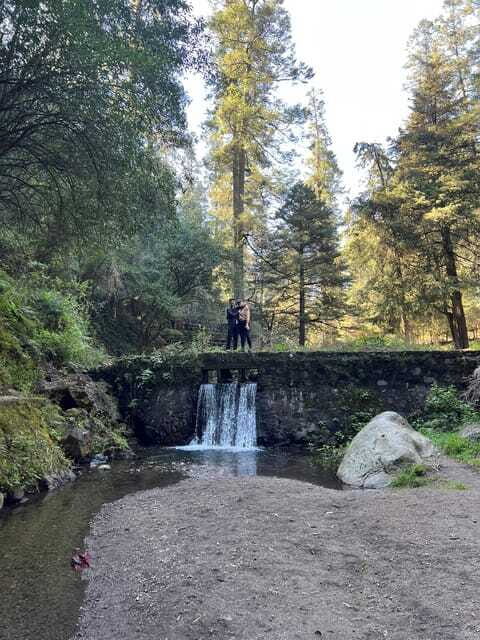 Mexico city: Hiking tour to Desierto de los leones - Who Will Love This Tour?