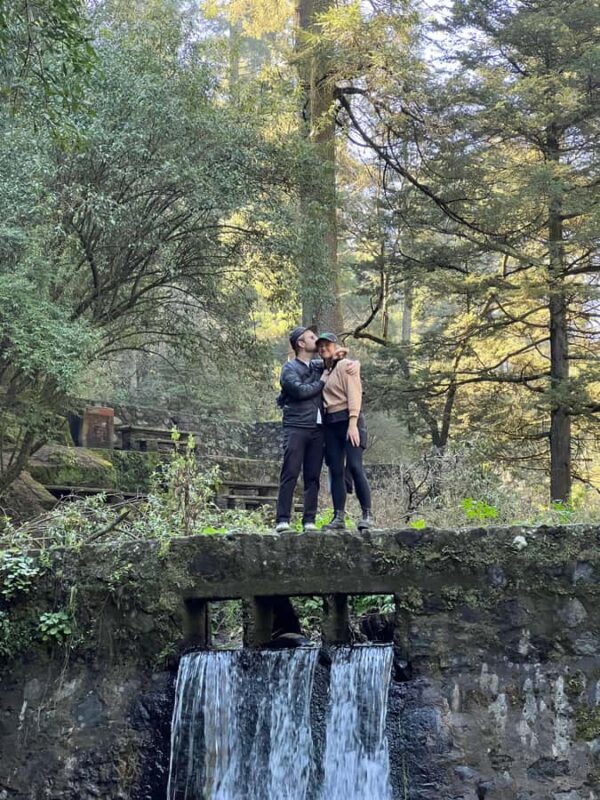 Mexico City: Hiking tour to the Desert of the Lions - Mexico City: Hiking Tour to the Desert of the Lions