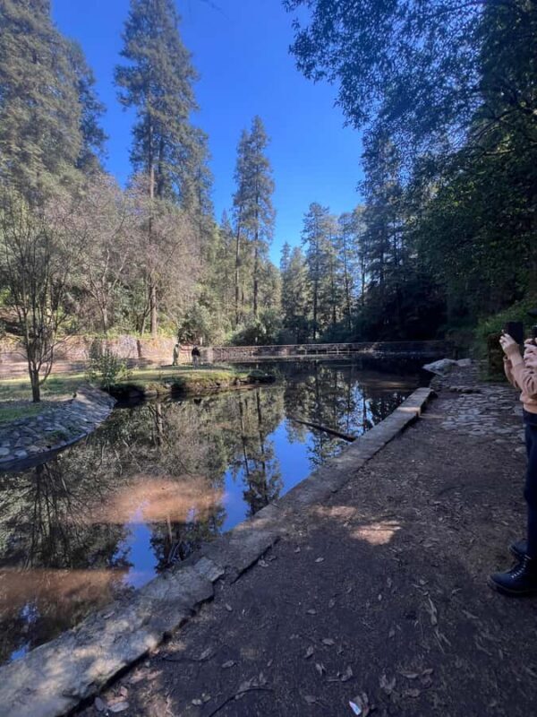 Mexico City: Hiking tour to the Desert of the Lions - Final Thoughts: Who Will Love This Tour?