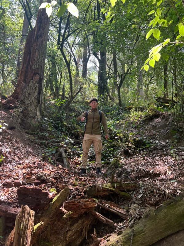 Mexico City: Hiking tour to the Desert of the Lions - FAQs