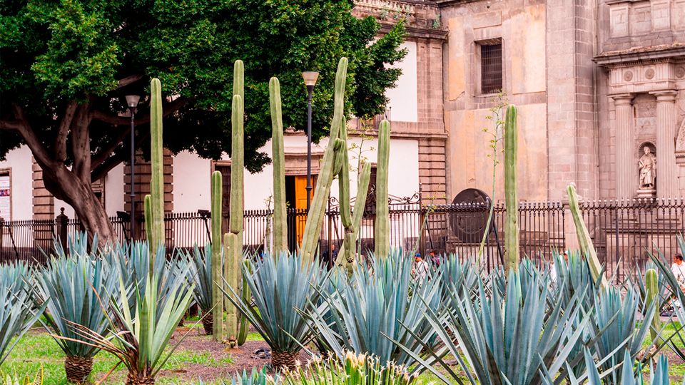 Mexico City: Historic Downtown Walking Tour - Aztec Ruins Exploration