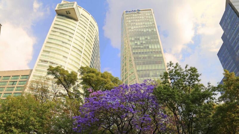 Mexico City: Hop-on Hop-off City Tour with Attractions - The Experience: Value, Comfort, and Authenticity