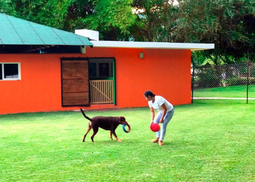 Mexico City: Las Estacas Natural Park Day Trip - Enjoying the Heated Pools