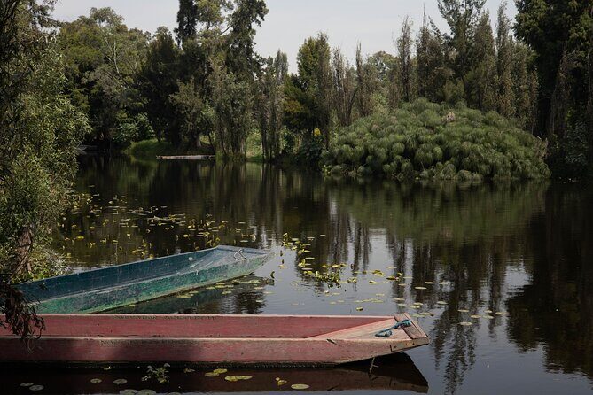 Mexico City Layover Tour Art, Culture and Color - Why This Tour Makes Sense