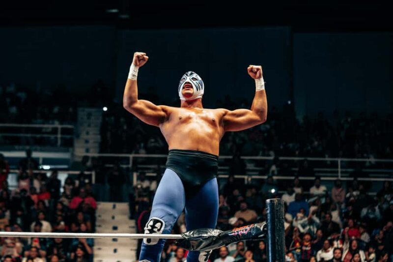 Mexico City: Lucha Libre, Mezcal, Tequila, and Live Show Tour - Key Points