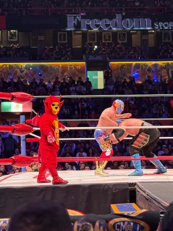 Mexico City: Lucha Libre Show & Pulque Tasting Tour - Who Will Love This Tour?