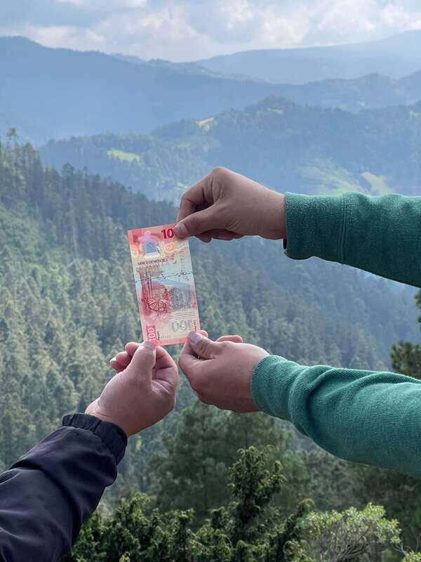 Mexico City: Monarch Butterfly Sanctuary Day Tour - Key Points