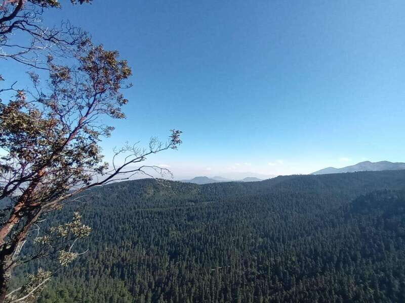 Mexico City: Morning Hiking at Mirador Coconetla - A Deep Dive into the Experience