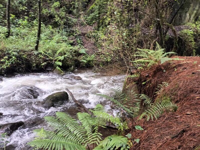 Mexico City: Morning Hiking at Mirador Coconetla - The Sum Up