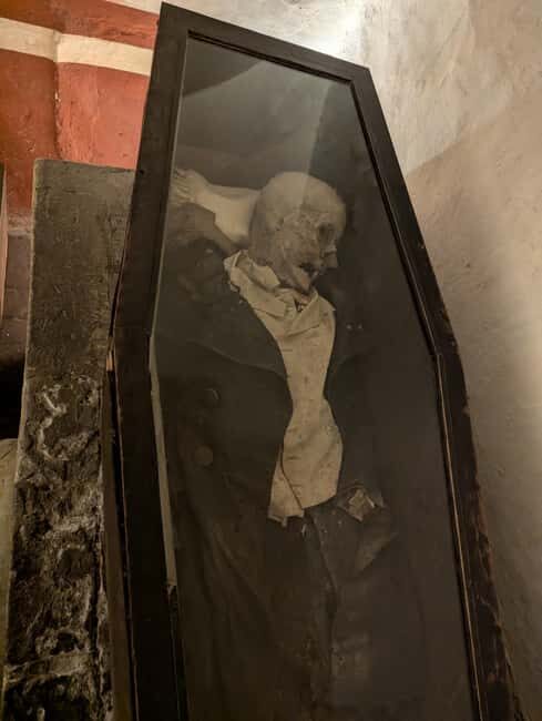 Mexico City: Museum of El Carmen Tour with Ticket - The Tour Experience: What to Expect