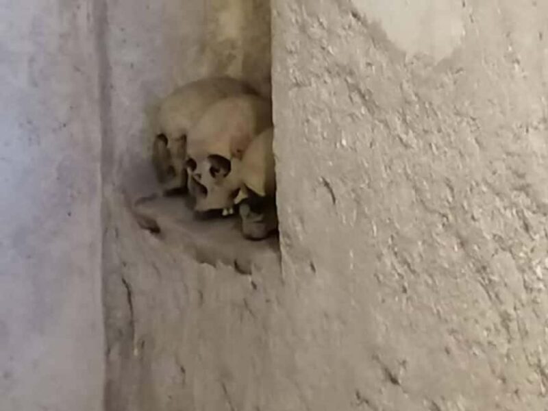 Mexico City: Museum of El Carmen Tour with Ticket - The Drawbacks: What to Keep in Mind