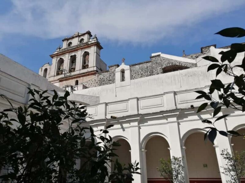 Mexico City: Museum of El Carmen Tour with Ticket - Who Will Love This Tour?