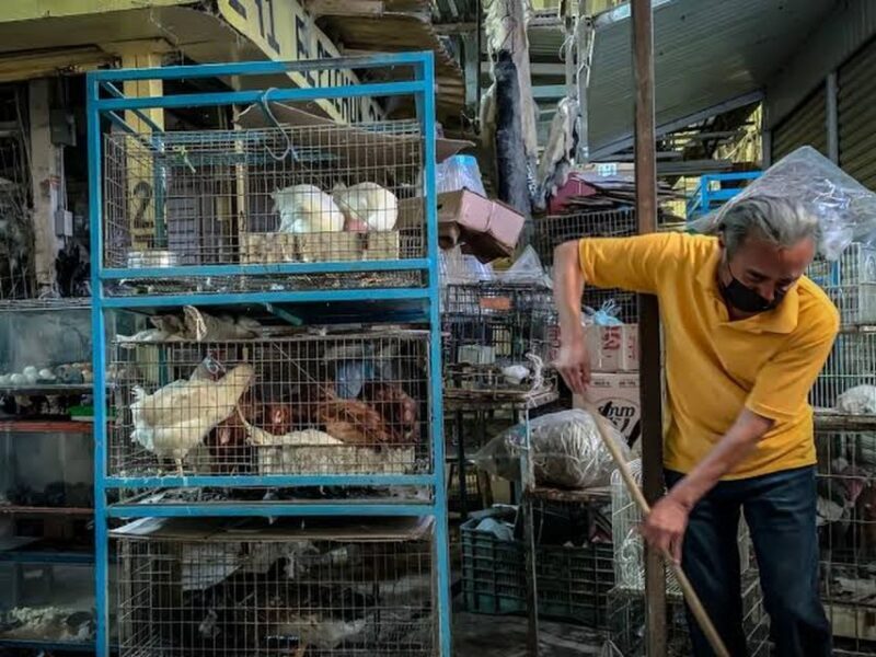 Mexico City: Mystic Markets La Merced & Sonora Culinary Tour - Who Should Take This Tour?