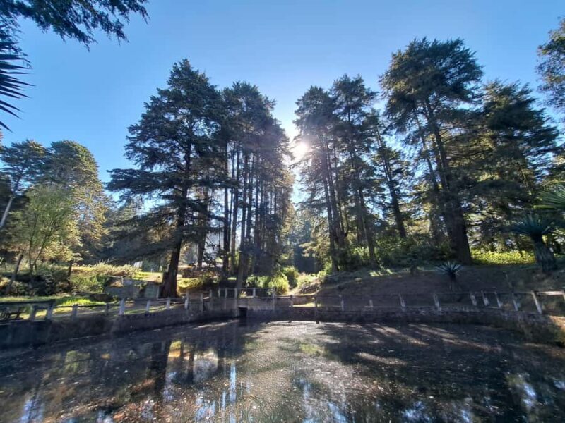 Mexico City: Nahualac Lagoon Private Hiking Tour - The Sum Up