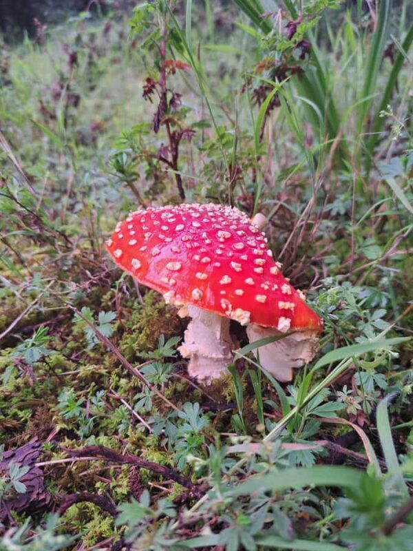 Mexico City: Nexcolango Lagoons Private Hiking Tour - Key Points