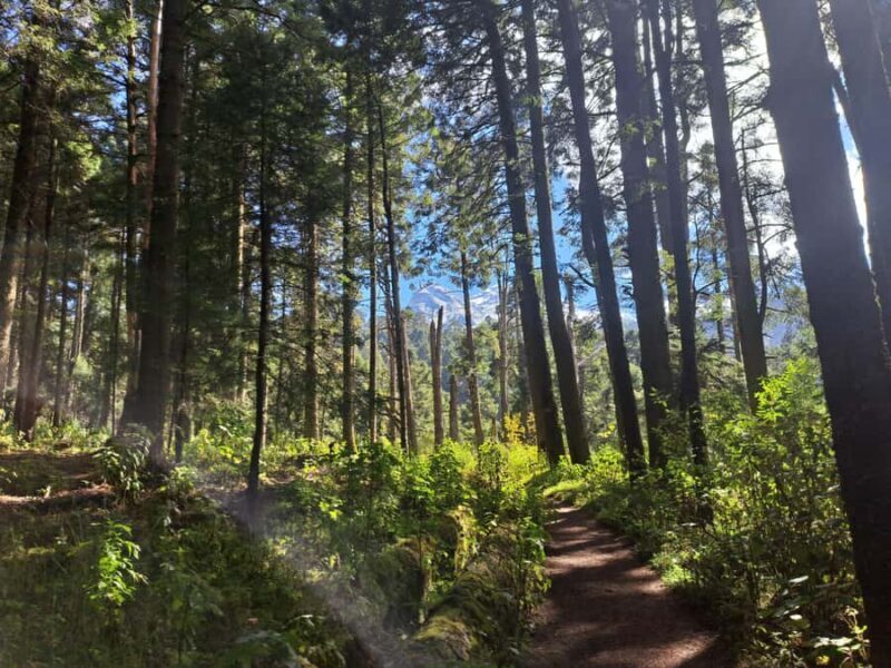 Mexico City: Nexcolango Lagoons Private Hiking Tour - Who Should Consider This Tour?