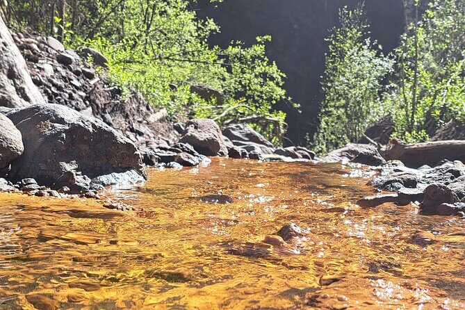 Mexico City: Nexpayantla Canyon Private Volcano Hiking Tour - An In-Depth Review of the Mexico City: Nexpayantla Canyon Hike