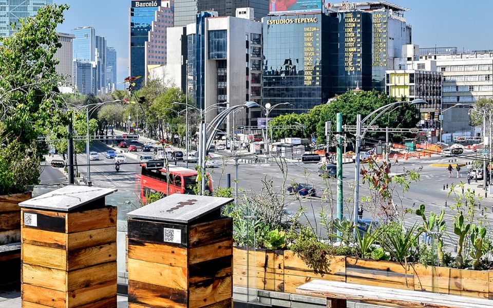 Mexico City: Panoramic Views Rooftop Terraces Guided Tour - Inclusions