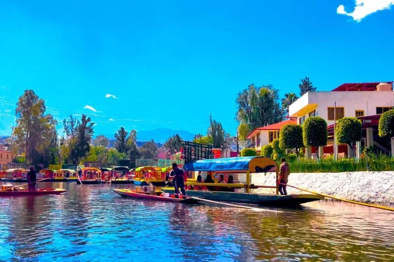 Mexico City: Party on a trajinera through Xochimilco with snacks, music, and drinks - What You Can Expect from the Experience