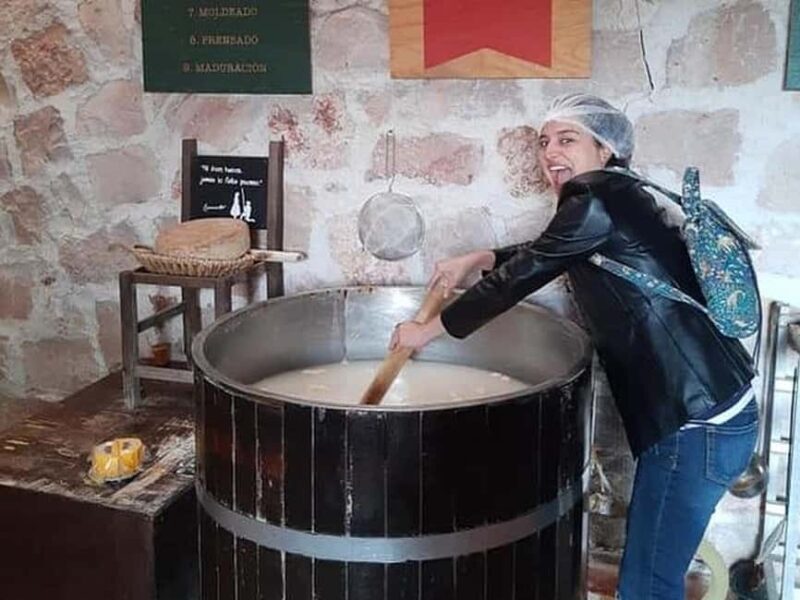 Mexico City: Private Cheese and Wine Tour to Queretaro - FAQs