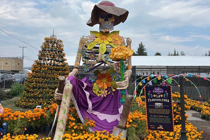 Mexico City Private Day of the Dead Tour Valle de Catrinas - Who Should Consider This Tour?  
