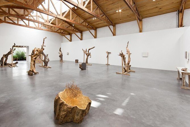 Mexico City Private Gallery Tour - A Deep Dive into the Mexico City Private Gallery Tour