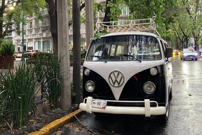 Mexico City PRIVATE Lucha Libre, mezcal & Tacos on a 1975 VW Bus - A Closer Look at the Itinerary and What to Expect