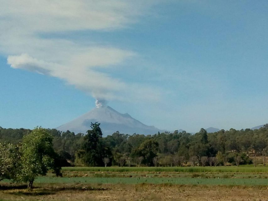 Mexico City: Private Tour of Puebla and Cholula - Key Points