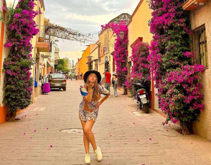 Mexico City Private Wine Tour: Hidden Valley Vineyards - Vineyards La Redonda