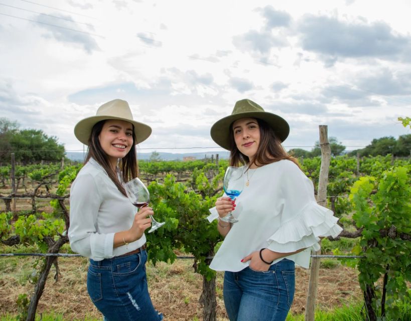 Mexico City Private Wine Tour: Hidden Valley Vineyards - Booking Details
