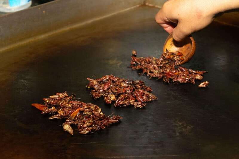 Mexico City: Street Food, Mole & Mezcal Small Group Tour - The Tasteful Verdict