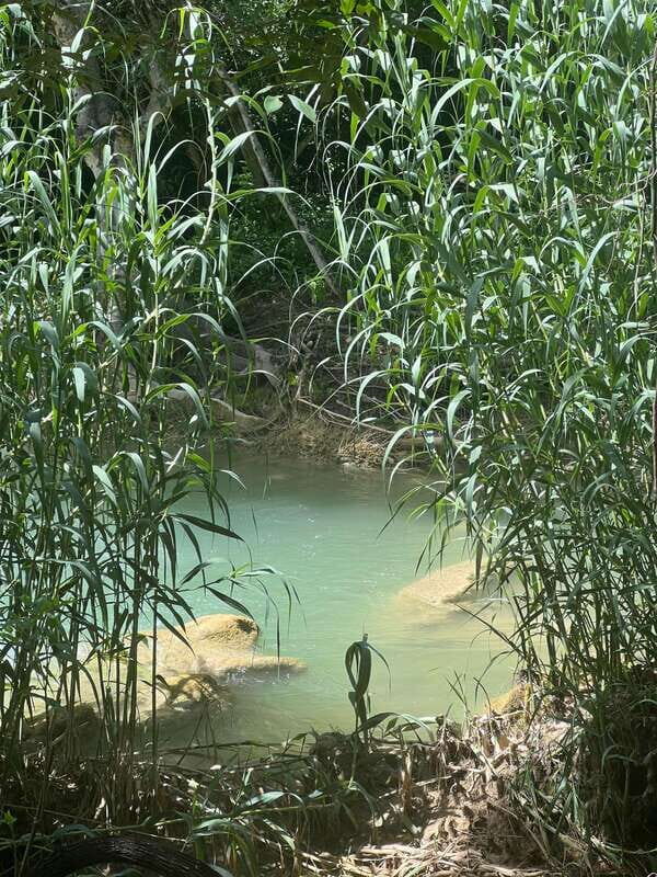 Mexico City: Taxco Thousand Waterfalls - Natural Water Park - What to Pack and Prepare