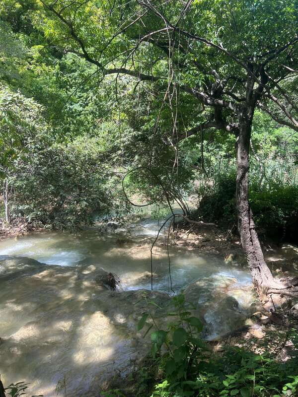 Mexico City: Taxco Thousand Waterfalls - Natural Water Park - Who Is This Tour Best For?