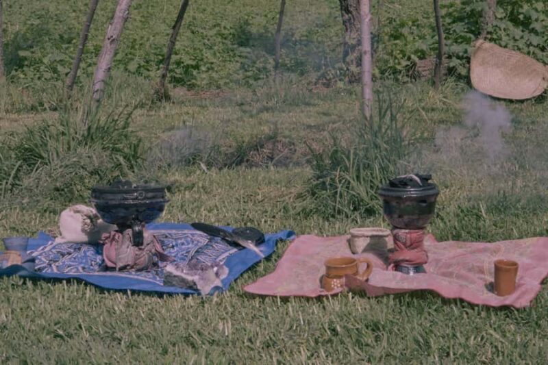 Mexico City: Temazcal Ceremony and Rapé Ceremony - Key Points