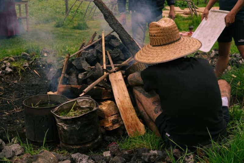 Mexico City: Temazcal Ceremony and Rapé Ceremony - The Heart of the Experience: The Temazcal