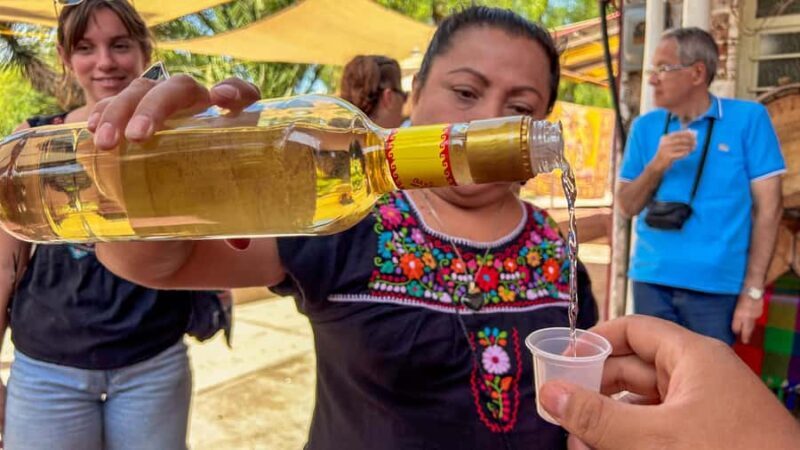 Mexico City: Teotihuacan & Guadalupe Shrine Tour with Lunch - Final Thoughts