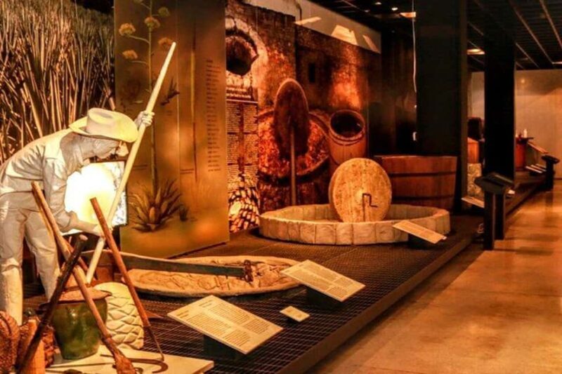 Mexico City: Tequila and Mezcal Museum Ticket with Tastings - The Sum Up