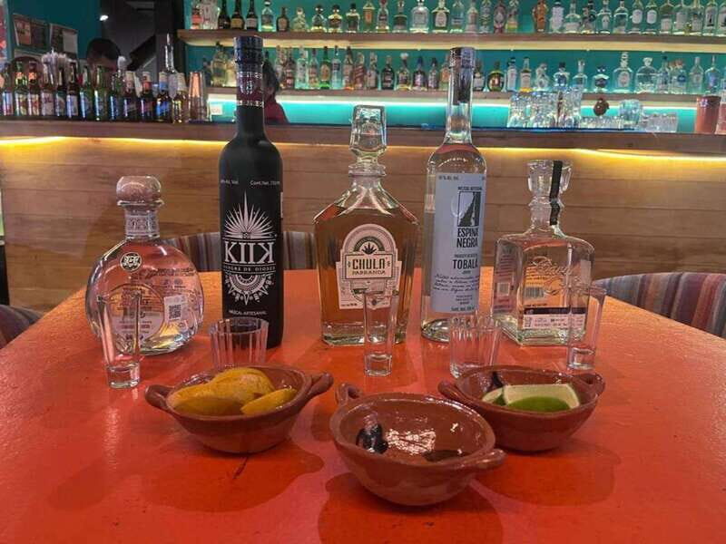 Mexico City: Tequila and Mezcal Museum Tour with Tasting - A Detailed Look at the Experience