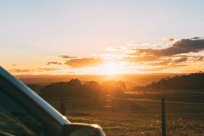 Mexico City to Oaxaca - Private Transfer with Optional Sightseeing - Quality of the Vehicle and Driver