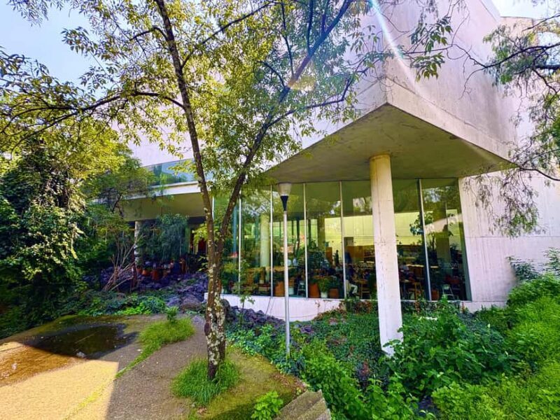 Mexico City: UNAM Campus walking Tour with Guide - An In-Depth Look at the UNAM Campus Tour