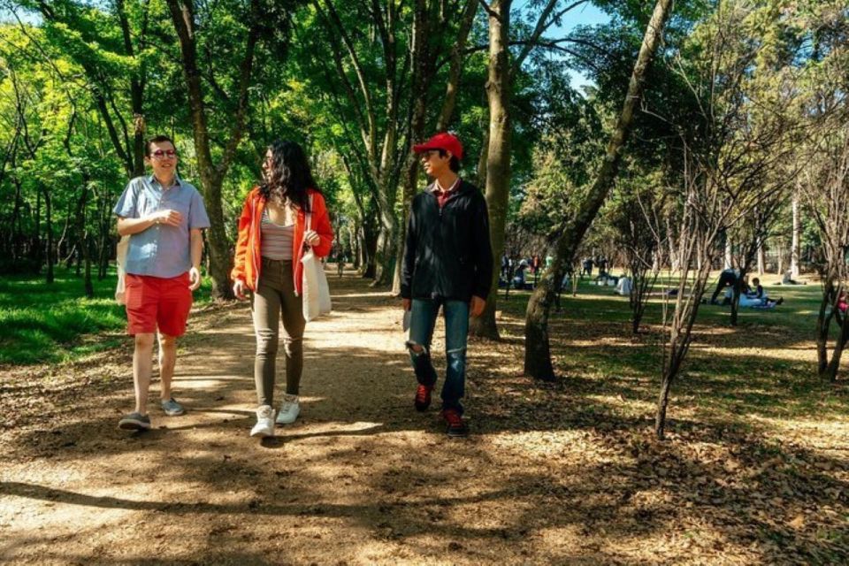 Mexico City With a Private Tour Guide - Best Rated - Seamless Support and Communication