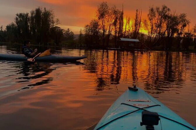 Mexico City: Xochimilco at sunrise + Breakfast and transportation - An In-Depth Look at the Experience
