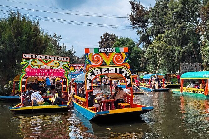 Mexico City: Xochimilco, Coyoacán and University City Tour - Introduction to the Tour