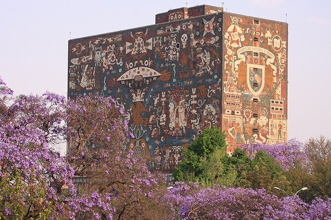 Mexico City: Xochimilco, Coyoacán and University City Tour - Who Should Consider This Tour?