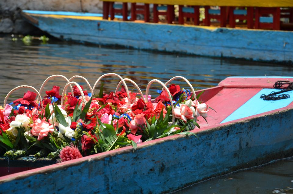 Mexico: Private Xochimilco and Colonial Coyoacan Trip - Visiting Coyoacans Impressive Mansions