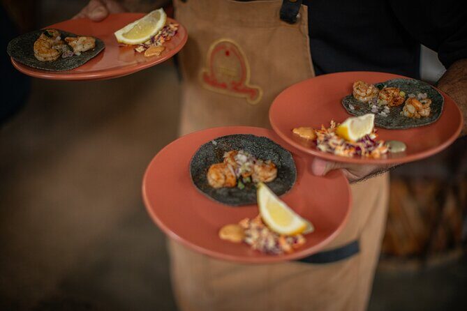 Mexology de Noche- Tequila, tacos and agave cocktails - An In-Depth Look at the Mexology de Noche Tour