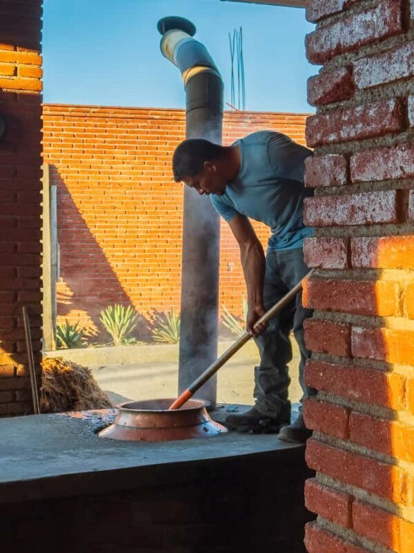 Mezcal, Agave, and Pulque Tour in Oaxaca - A Closer Look at the Tour Experience